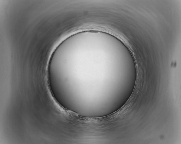 X0000097981536200804071111