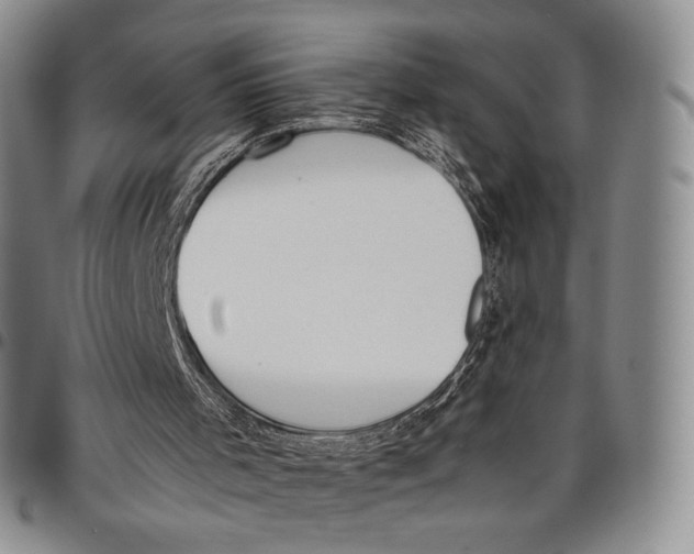 X0000097980001200804141129