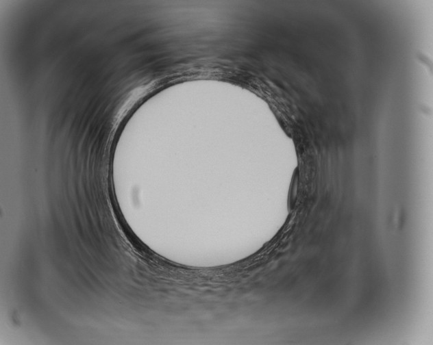 X0000097980003200804141129