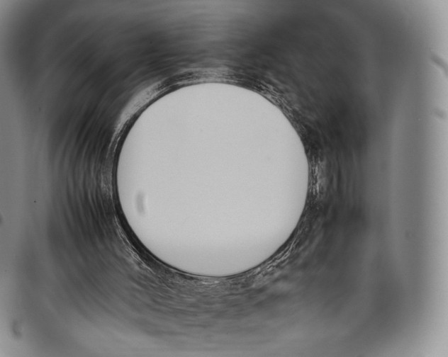 X0000097980004200804141128