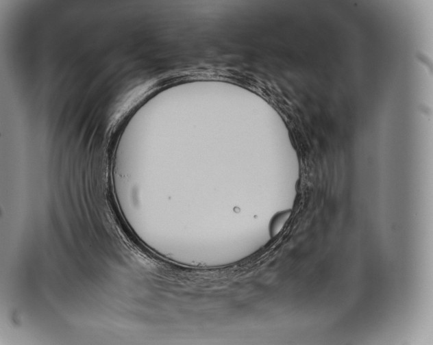 X0000097980005200804141128