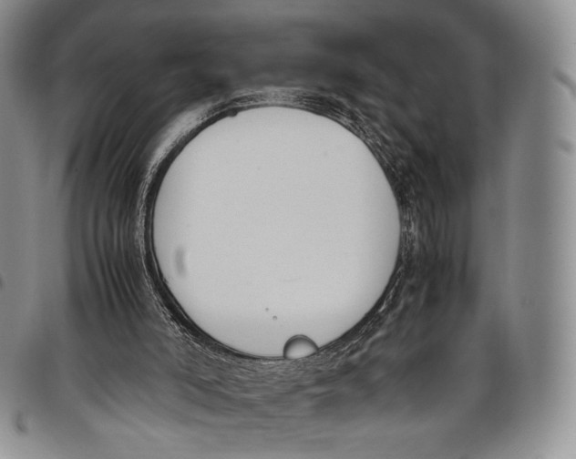 X0000097980006200804141128