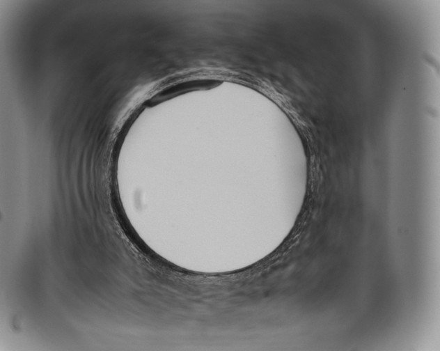 X0000097980007200804141128