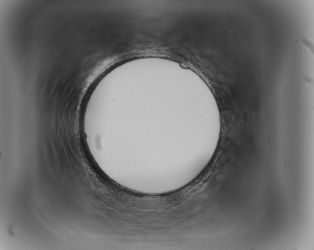 X0000097980008200804141128