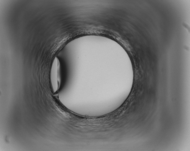 X0000097980009200804141128