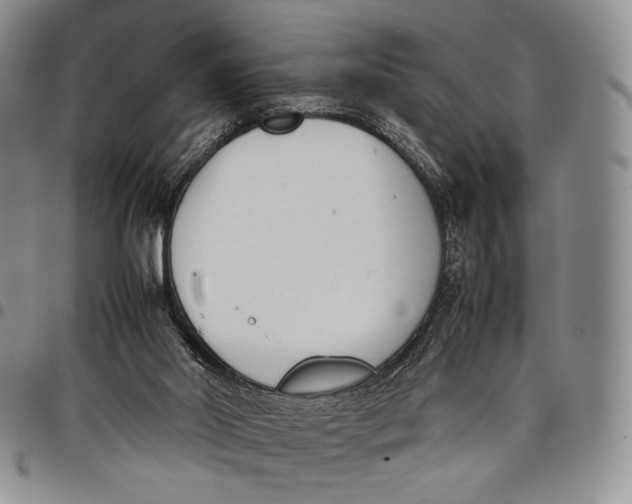 X0000097980014200804141128