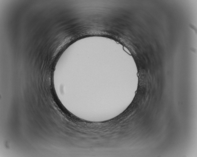 X0000097980015200804141128