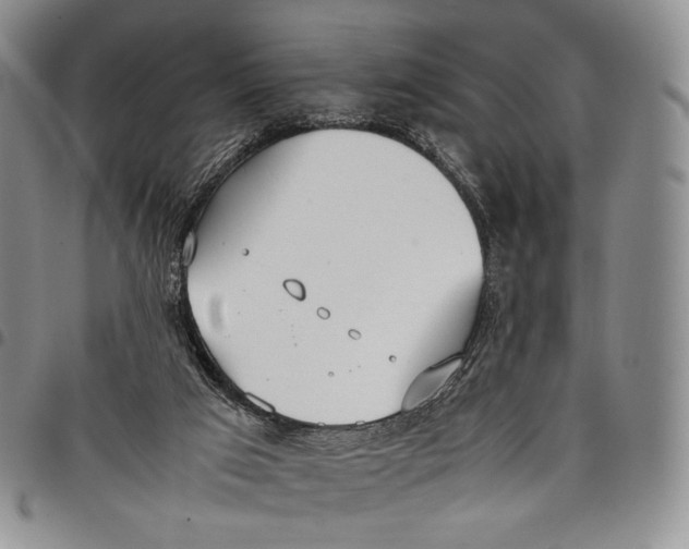 X0000097980017200804141128