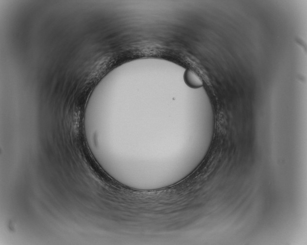 X0000097980018200804141128