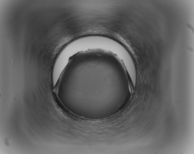 X0000097980019200804141128