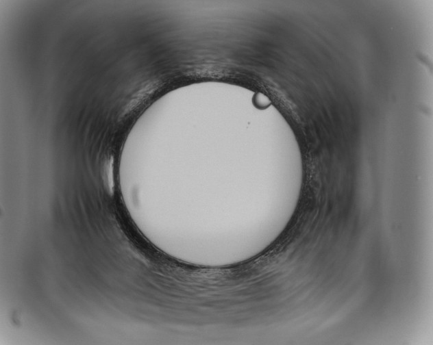 X0000097980020200804141128