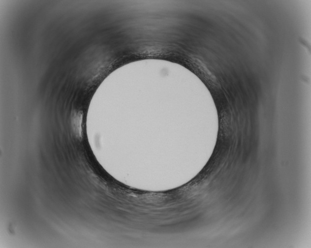 X0000097980024200804141128