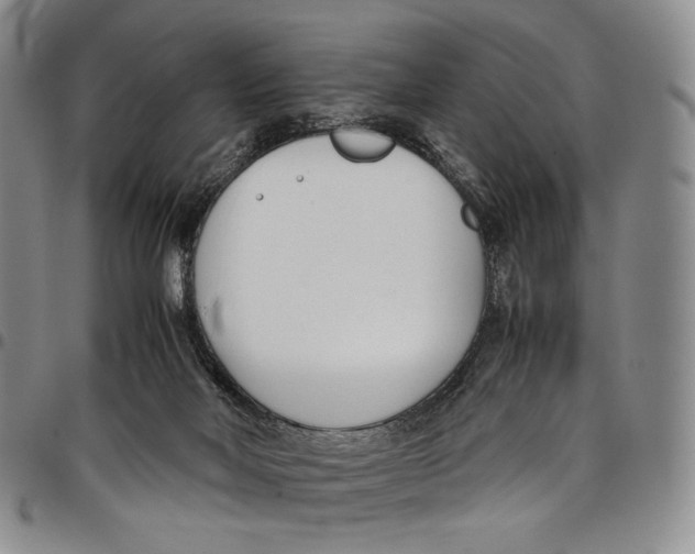 X0000097980026200804141128