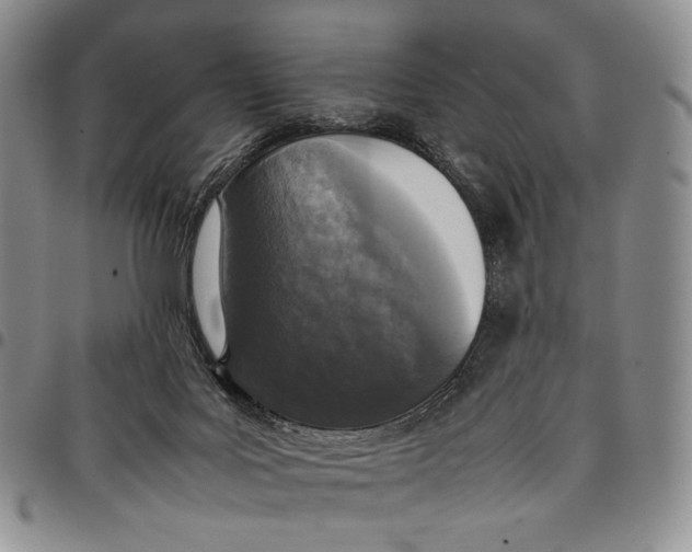 X0000097980027200804141128