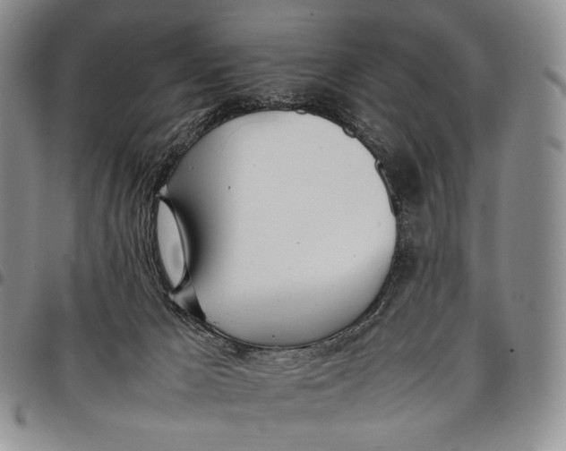 X0000097980029200804141128