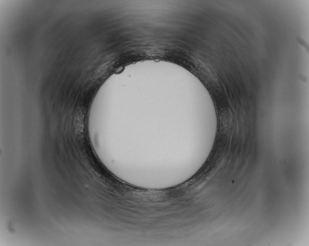 X0000097980032200804141128