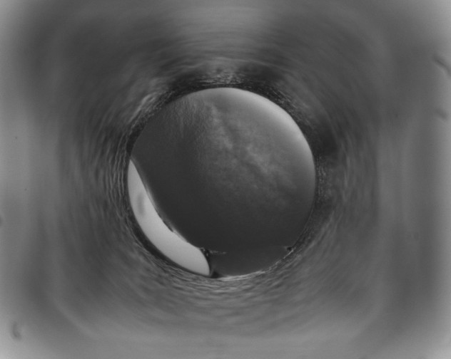 X0000097980035200804141128