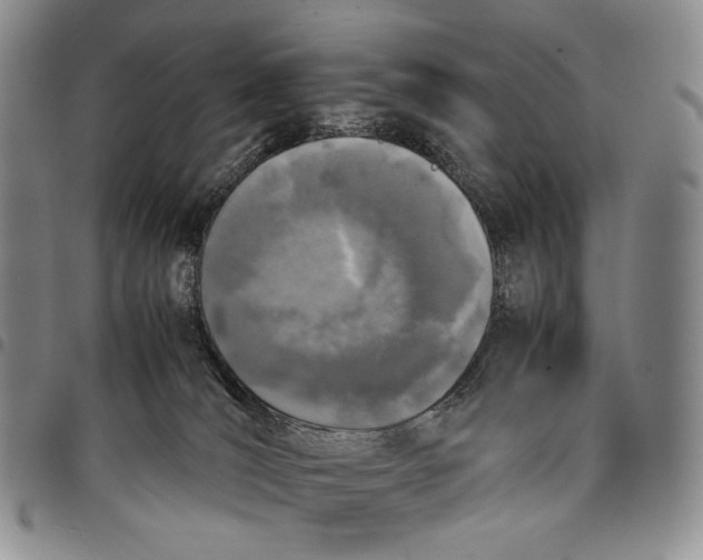 X0000097980036200804141128