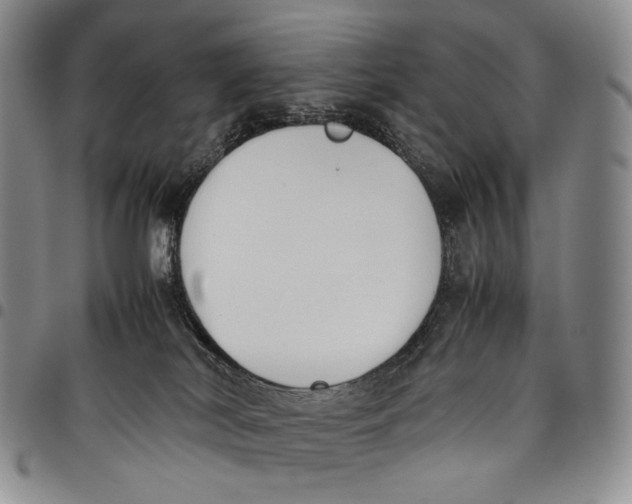 X0000097980038200804141128