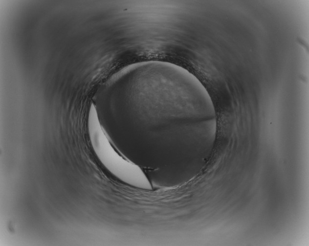 X0000097980039200804141128