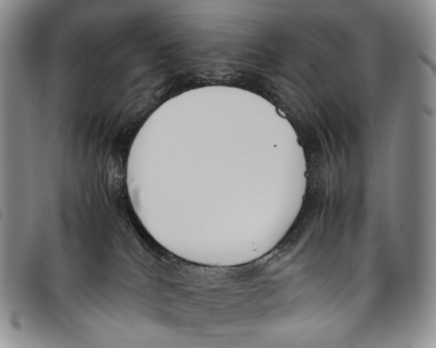 X0000097980040200804141128