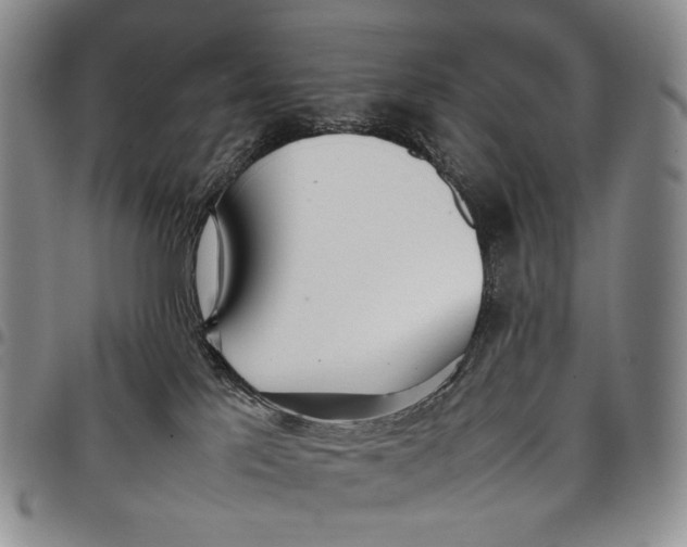 X0000097980041200804141128