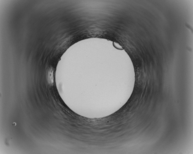 X0000097980042200804141128