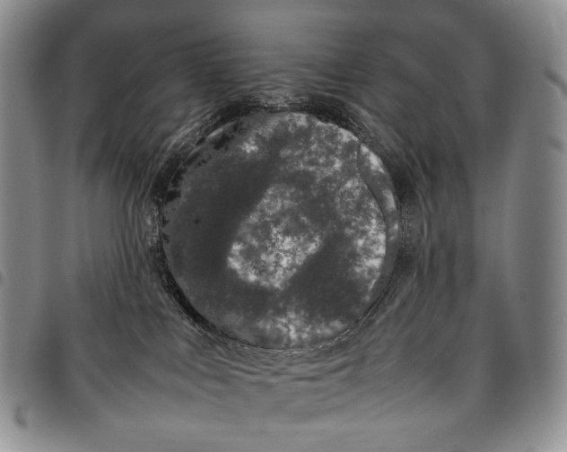 X0000097980043200804141128