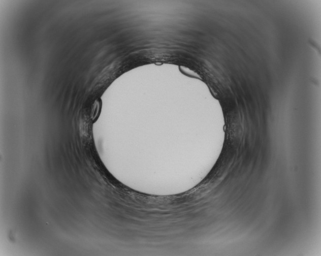 X0000097980044200804141128