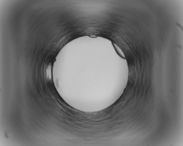 X0000097980046200804141128