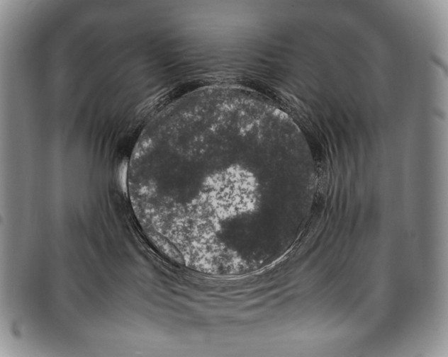 X0000097980047200804141128