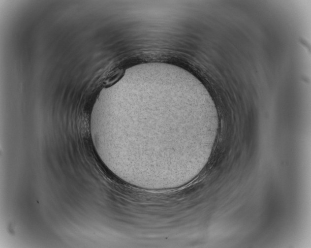 X0000097980048200804141128