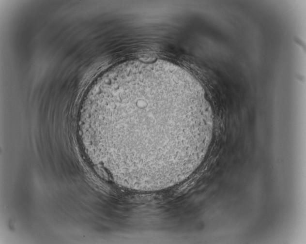 X0000097980049200804141127