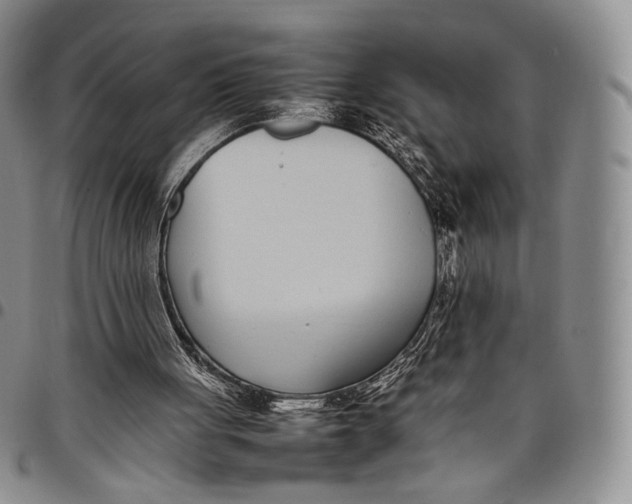 X0000097980051200804141127