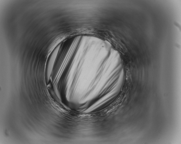 X0000097980052200804141127