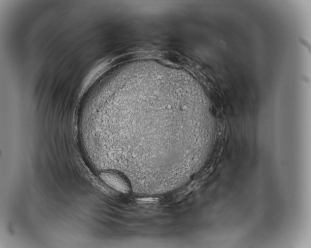 X0000097980053200804141127