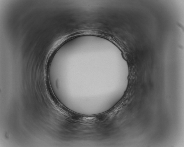 X0000097980055200804141127