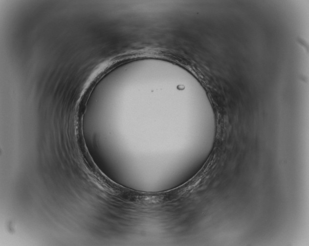 X0000097980056200804141127