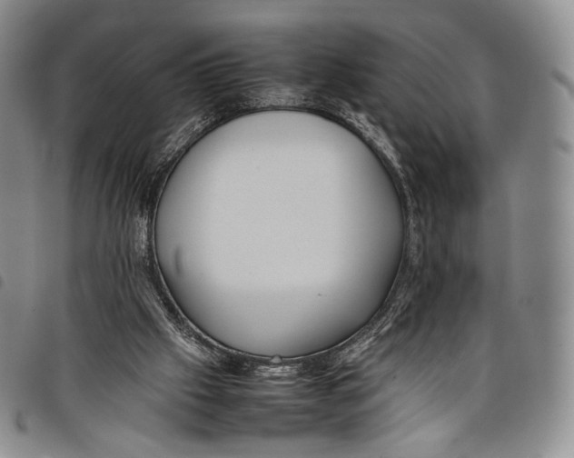 X0000097980057200804141127