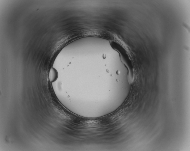 X0000097980059200804141127