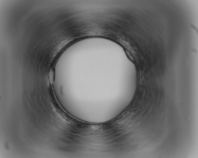 X0000097980060200804141127