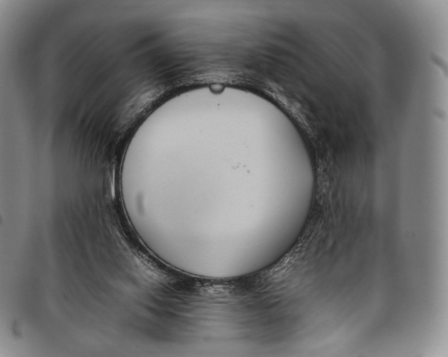 X0000097980062200804141127