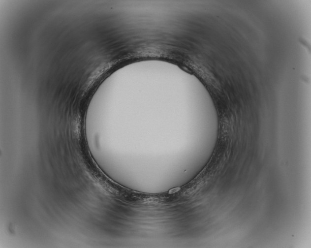 X0000097980064200804141127