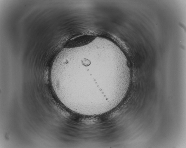 X0000097980065200804141127