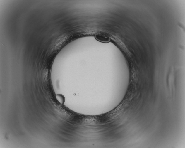 X0000097980066200804141127