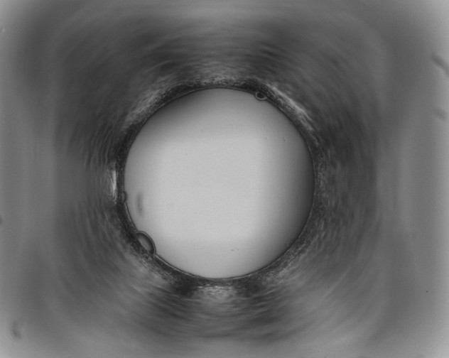 X0000097980067200804141127