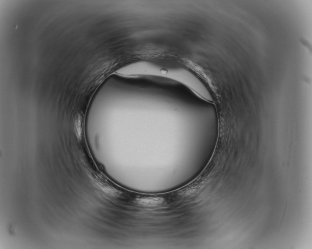 X0000097980069200804141127