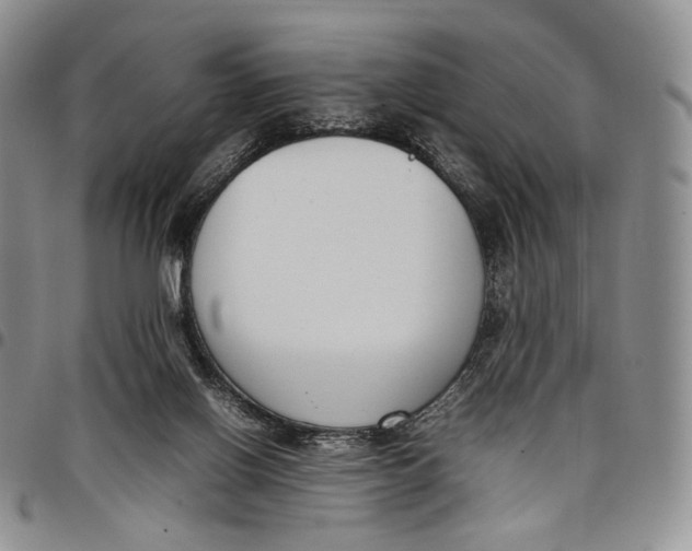 X0000097980070200804141127