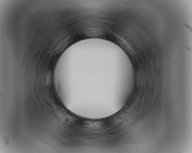 X0000097980073200804141127