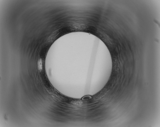 X0000097980075200804141127